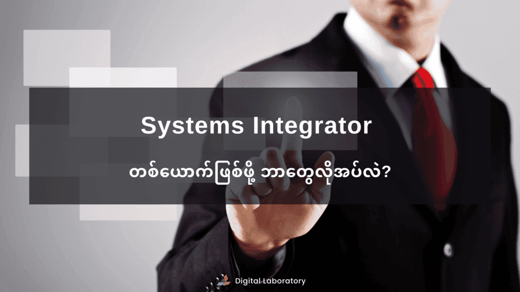 Systems-Integrator-2.png